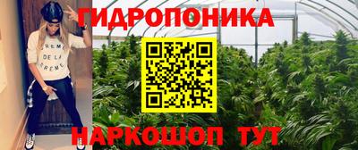 эйфоретик Северобайкальск